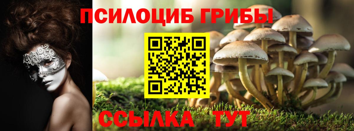 Псилоцибиновые грибы ЛСД  Вход с VPN  Великий Новгород 